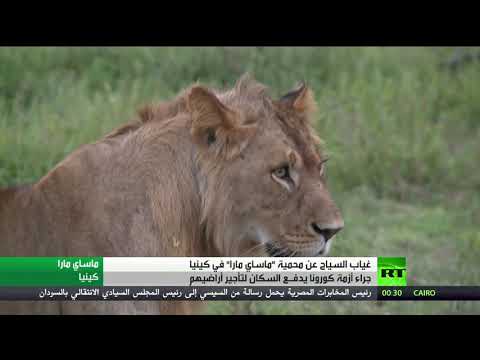  العرب اليوم - شاهد: 