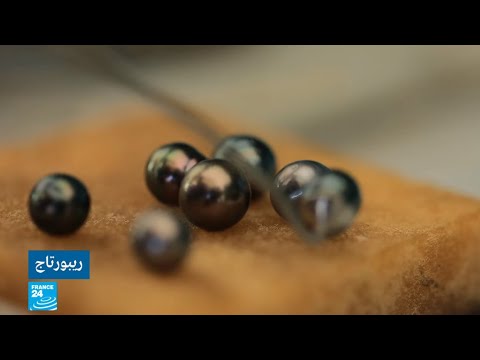  العرب اليوم - شاهد: كيفية استخراج 