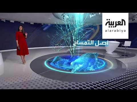  العرب اليوم - جمجمة لتمساح عمرها 7 ملايين سنة تعيد أصله من أميركا إلى ليبيا