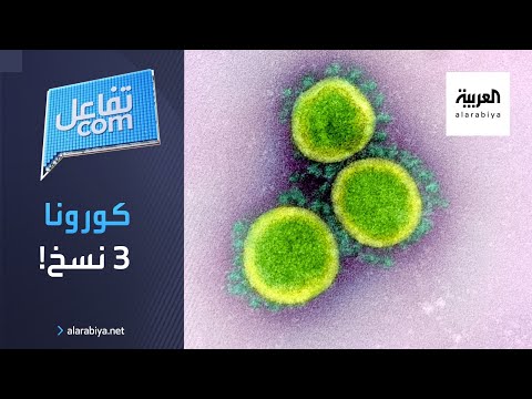  العرب اليوم - شاهد: علماء يكتشفون نسختين من 