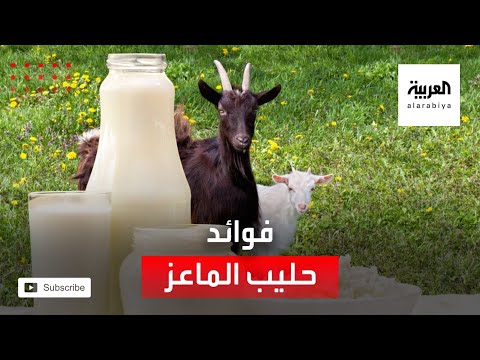 العرب اليوم - شاهد: تعرّف على على فوائد وأسرار حليب الماعز