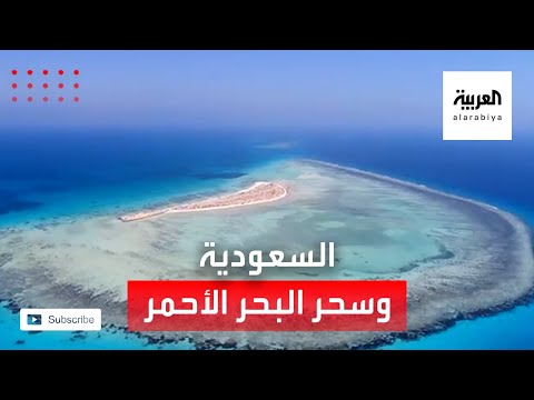  العرب اليوم - شاهد: صور ساحرة من مشروع البحر الأحمر في السعودية