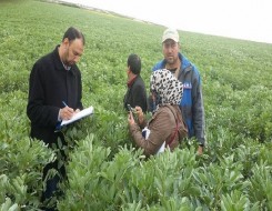  فلسطين اليوم - الخبير الزراعي نزار الوحيدي يؤكد أن الأجواء الحارة تهدّد إنتاجية محصولَي اللوزيات والتفاح