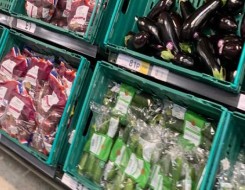  فلسطين اليوم - إنخفاض ملحوظ على أسعار معظم أنواع الخضروات في أسواق قطاع غزة
