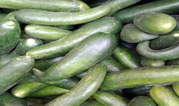  فلسطين اليوم - فوائد الخيار في خسارة الوزن وترطيب الجسم وتحسين الصحة العامة