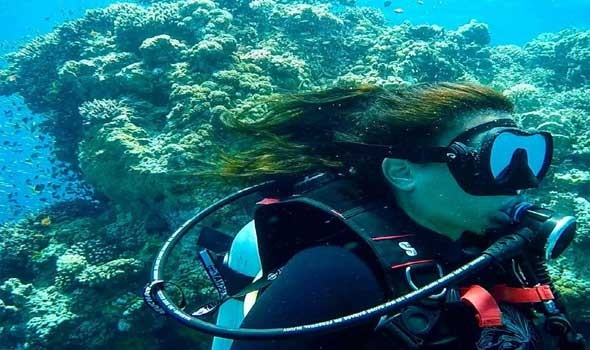 استمتع بتجربة غوص فريدة في العقبة الوجهة الأفضل لعشاق البحر الأحمر