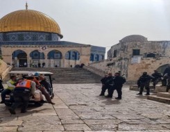  فلسطين اليوم - مئات المستوطنين يقتحمون المسجد الأقصى ويؤدون طقوسًا تلمودية في باحاته