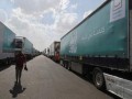  فلسطين اليوم - وزير الخارجية المصري يصف عدم دخول المساعدات إلى غزة منذ سبعين يوما بالأمر المخزي
