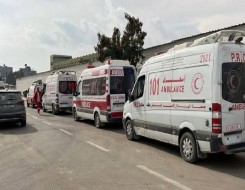 فلسطين اليوم - 3 شهداء ومصابون في قصف الاحتلال وسط وجنوب قطاع غزة