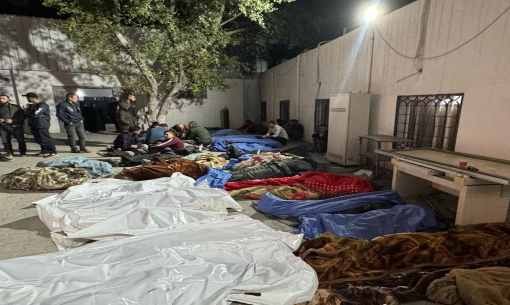  فلسطين اليوم - مصر تؤكد لمبعوث ترامب ضرورة تسوية شاملة وعادلة للصراع الفلسطيني الإسرائيلي